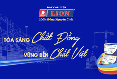 Dây cáp điện LION