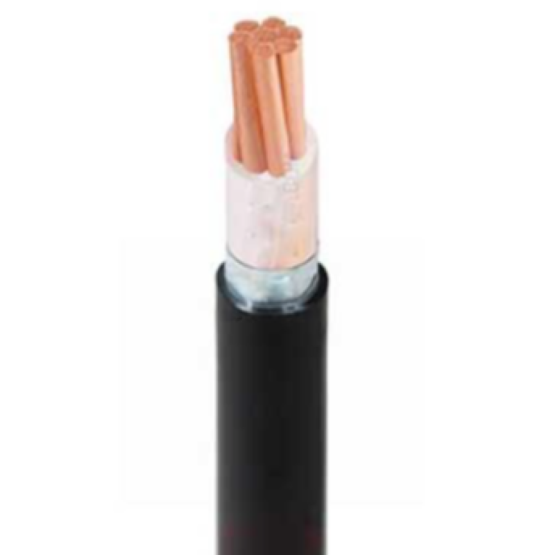 Cáp điện lực CXV/DATA 1 lõi-0.6/1kV 