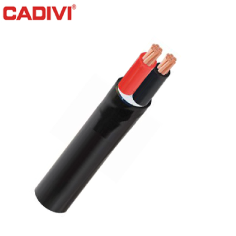 Dây cáp điện 2 lõi CVV – 0,6/1 kV