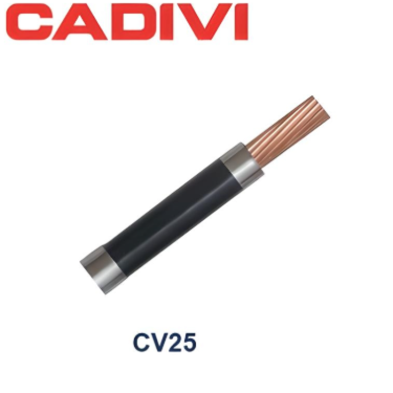 Dây cáp điện CV 25-0.6/1kV