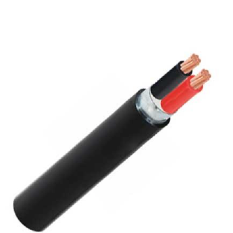 Cáp điện CVV/DSTA 2 lõi−0,6/1kV