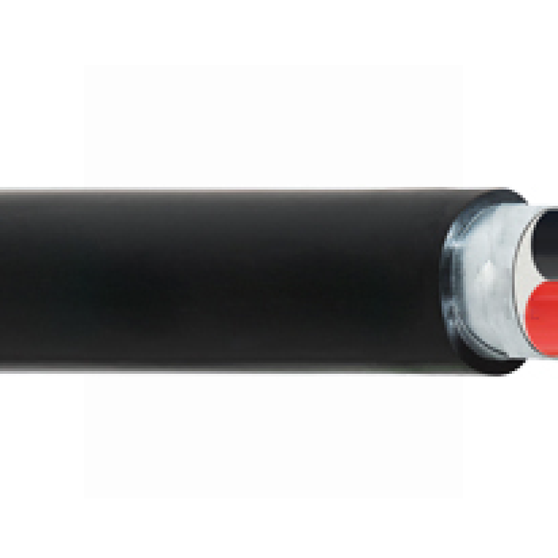 Cáp điện CVV/DSTA 2 lõi−0,6/1kV