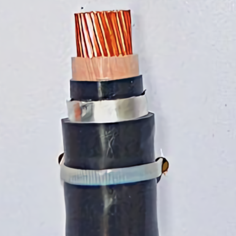 Cáp điện lực CXV/DATA 1 lõi-0.6/1kV 