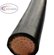 Dây cáp điện CV 300-0.6/1kV