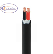 Cáp điện CVV/DSTA 2 lõi−0,6/1kV