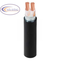 Cáp điện lực CXV/DSTA 2 lõi-0.6/1kV