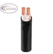 Dây cáp điện 2 lõi Cadivi CXV – 0.6/1KV
