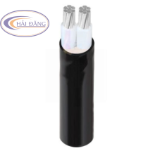 Cáp điện lực nhôm AXV-2 lõi­–0,6/1kV