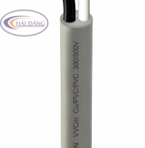 Dây điện đôi mềm 2 lõi LION VVCm–300/500V-0.6/1kV
