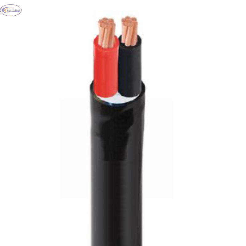 Dây cáp điện 2 lõi CVV – 0,6/1 kV