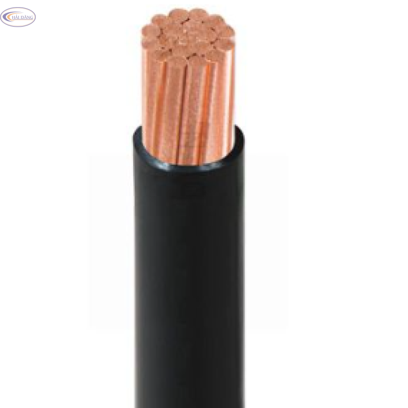 Dây cáp điện CV 25-0.6/1kV