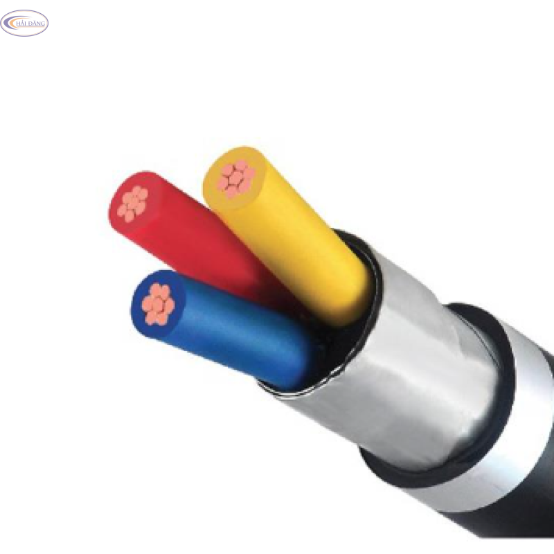 Cáp điện CVV/DSTA 3 lõi−0,6/1kV