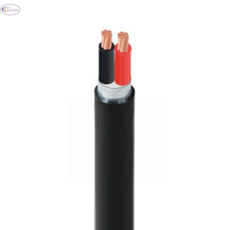 Cáp điện CVV/DSTA 2 lõi−0,6/1kV