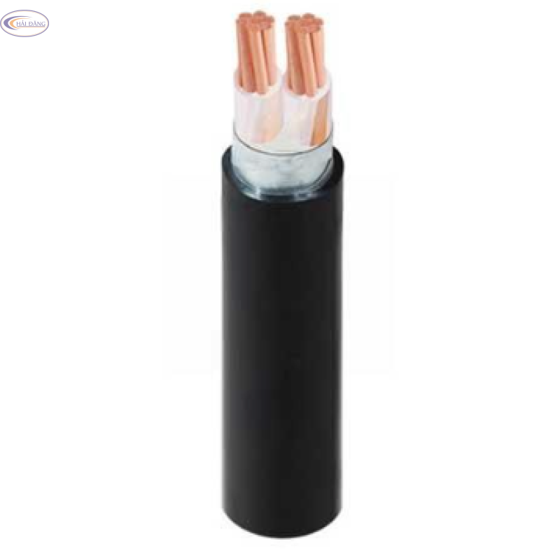 Cáp điện lực CXV/DSTA 2 lõi-0.6/1kV