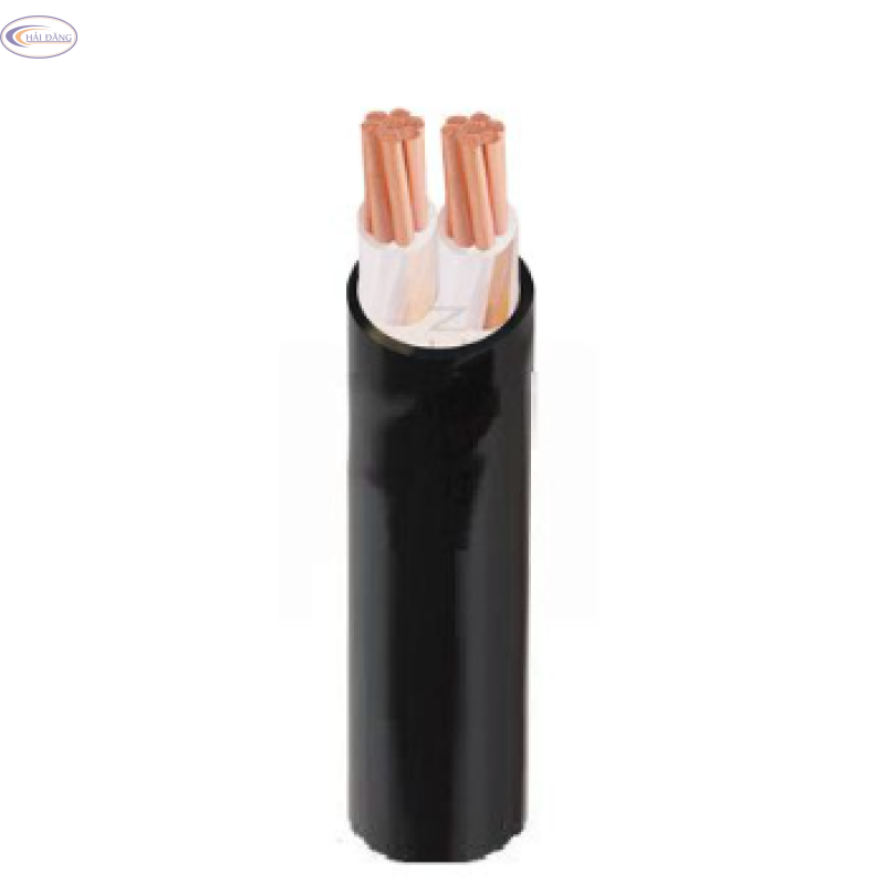 Dây cáp điện 2 lõi Cadivi CXV – 0.6/1KV