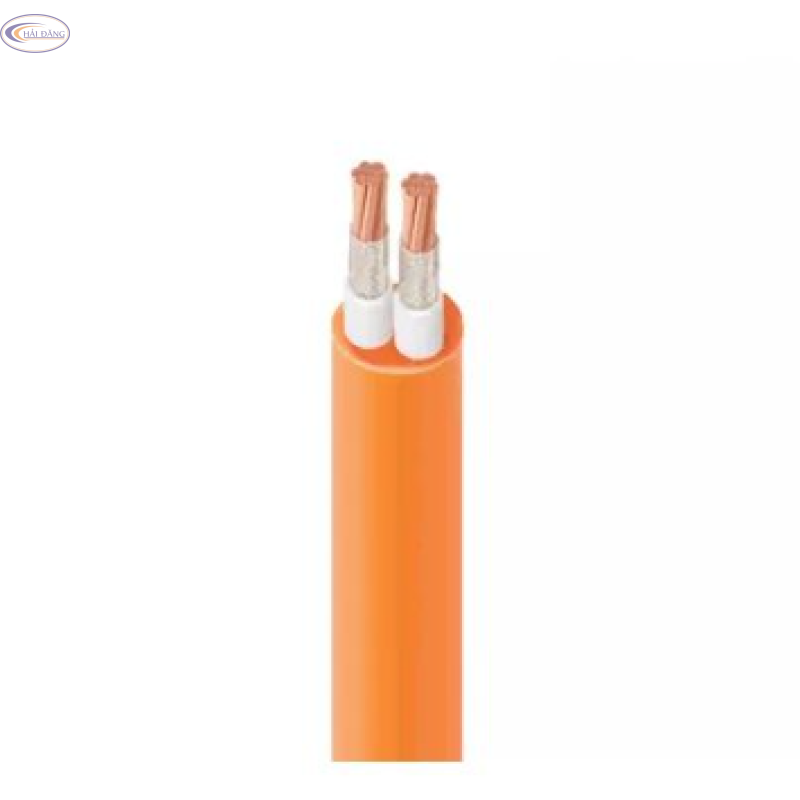 Cáp điện lực chậm cháy 2 lõi CXV/FRT – 0,6/1kV