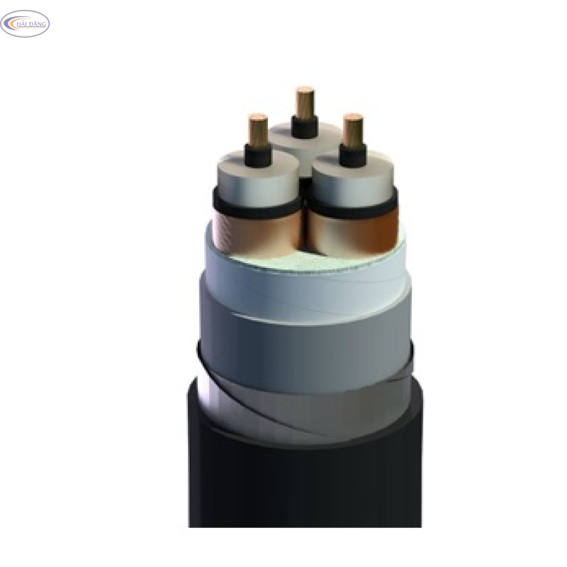 Cáp trung thế CXV/SE/DSTA-3x-12/20(24)kV